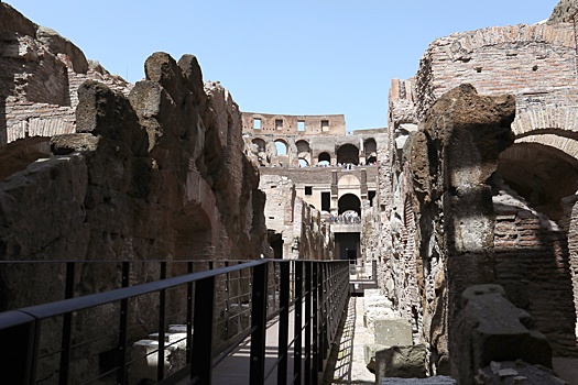 Римский Колизей очистят от крыс