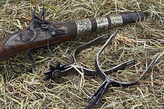 На слете коллекционеров в ЮВАО представят антикварное оружие