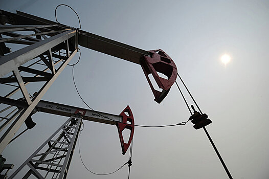 Добыча нефти в Узбекистане в 2017 г снизилась на 6,3%, до 806 тыс тонн
