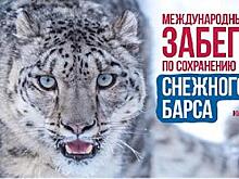 Забег «Сохраним снежного барса» проведут в Бишкеке