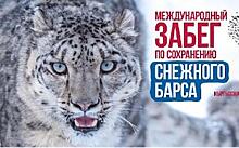 Забег «Сохраним снежного барса» проведут в Бишкеке