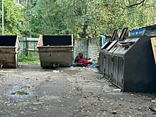 «Звать Никак, упала с Луны»: на улице Чайковского появилась необычная бездомная