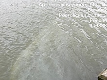 В реку Малый Койсуг в Ростовской области попали неочищенные сточные воды