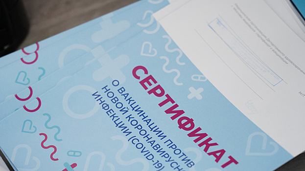 Авиакомпаниям России предложили ввести верификацию пассажиров по прививочному сертификату