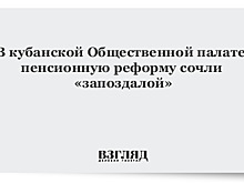 В кубанской Общественной палате пенсионную реформу сочли «запоздалой»