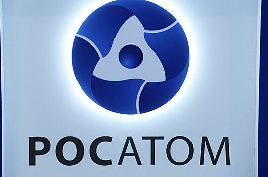 Росатом наделили правом штрафовать наравне с органами строительного госнадзора