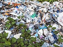 Мир без пластика