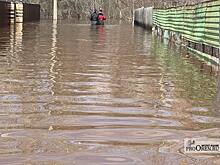 Уровень воды в реке Урал снизился на 5 сантиметров
