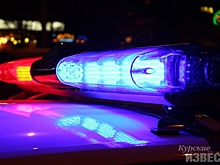 В Курской области подросток погиб под колёсами самодельного транспорта