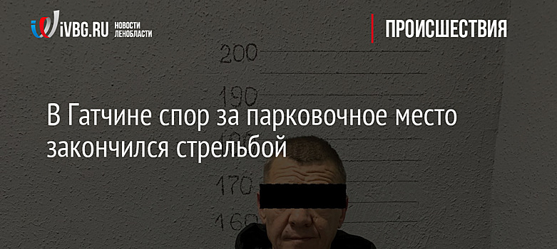 В Гатчине спор за парковочное место закончился стрельбой