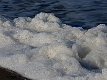 Пригород Дублина превратился в сплошную пенную вечеринку