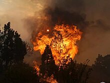 Россия предоставит миллион долларов на борьбу с лесными пожарами в Армении