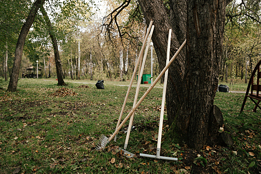 Более 40% кемеровчан выступили против обязательных субботников