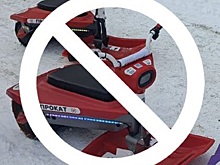 В парках Новосибирска устроили охоту за электроснегокатами