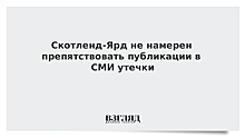 Скотленд-Ярд после критики разъяснил свою позицию о публикации статей на основе утечек