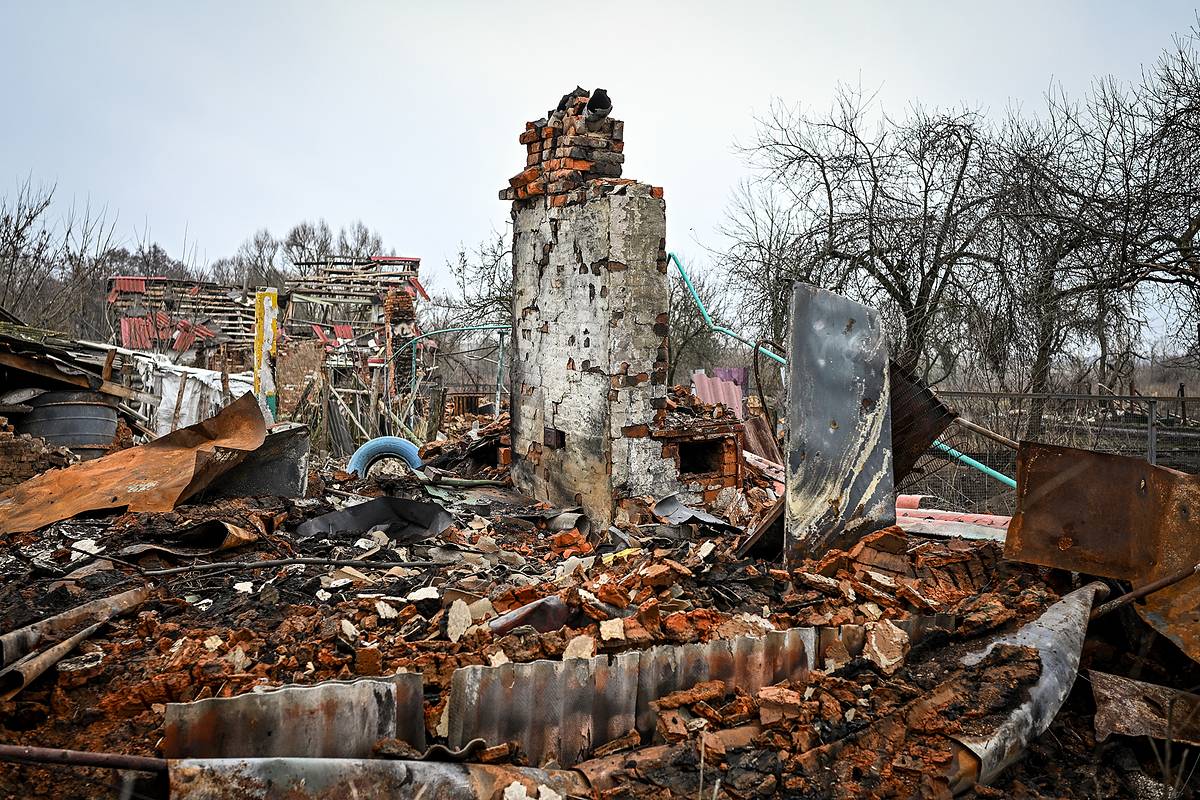 Хинштейн призвал провести новый Нюрнберг из-за убийств в курском селе