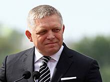 Фицо заявил о необходимости поставок газа и нефти из России