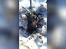 Канализация разлилась в центре города из-за засора