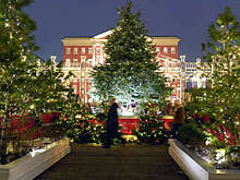 Вильфанд: новых снегопадов в Московском регионе не будет в течение недели