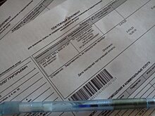 По двойным тарифам: Минстрой предложил начислять плату за проживающих в квартирах гостей