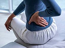 Названы симптомы распространившейся в России мышиной лихорадки