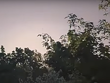 Для вас поет Олег Митяев