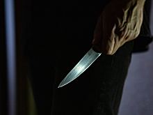 Москвич зарезал жену и выпрыгнул из окна в Подмосковье