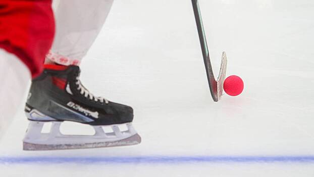 «Че ты лаешь-то»: судья грубо обратился к хоккеисту Радулову в ходе матча