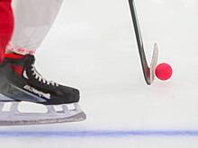 «Че ты лаешь-то»: судья грубо обратился к хоккеисту Радулову в ходе матча