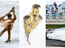 Выходные в Нижнем Новгороде: со смехом, ужасами, дрифтом и конкуром