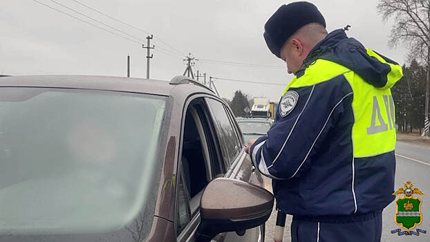 Нетрезвых водителей ловили в Боровском районе: итоги рейда