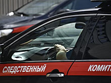 СК начал проверку из-за обрушения моста на Дальнем Востоке