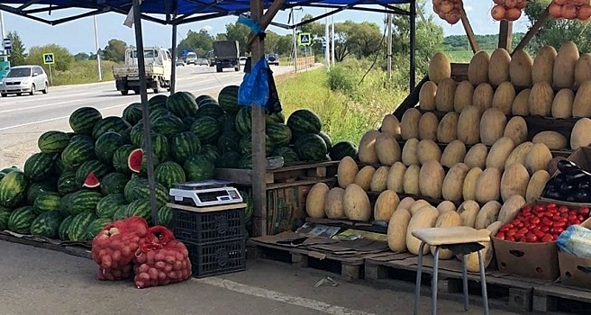 Возле трасс могут появиться фермерские рынки