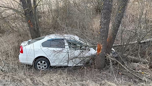 Два человека пострадали в улетевшей в кювет иномарке под Балахной