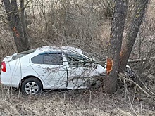 Два человека пострадали в улетевшей в кювет иномарке под Балахной