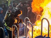 Не та трава: чем не угодил газон «Зенит-Арены»