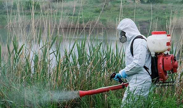 В Волгоградской области стартовала обработка прибрежных зон от комаров