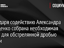 Благодаря содействию Александра Дрозденко собрана необходимая сумму для обстрелянной дробью собаки