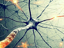 Наши мозги могут быть в 100 раз мощнее, чем мы думали