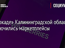 К «блокаде» Калининградской области подключились маркетплейсы
