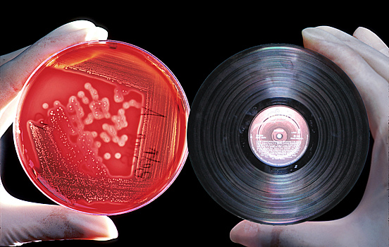 Живущих на человеке микробов превратили в музыку