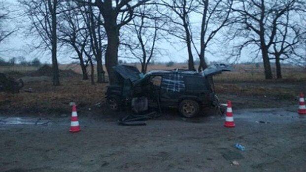 В Светлогорске перед судом предстанет водитель Jeep, по вине которого погиб пассажир