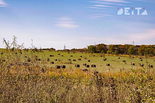 Город Спутник выглядит «лоскутным одеялом»