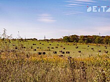 Город Спутник выглядит «лоскутным одеялом»