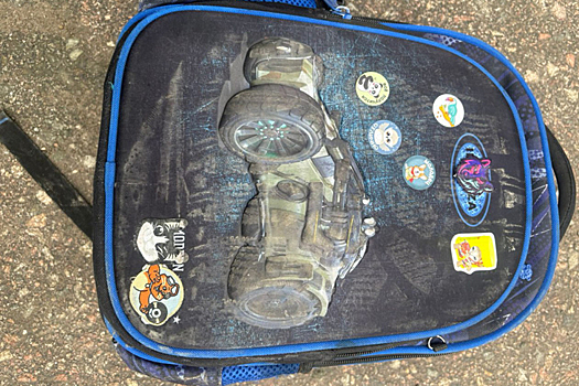 В Бердске семья требует 40 миллионов с виновника гибели их ребенка в ДТП