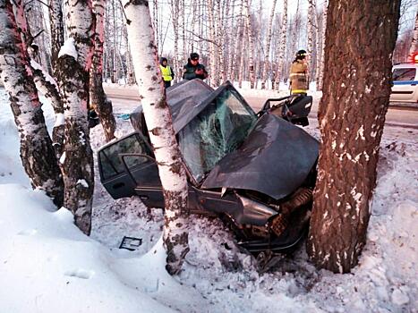 В Вятскополянском районе иномарка врезалась в дерево: пострадали женщина-водитель и трое детей