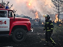 Крупный лесной пожар вторые сутки бушует в ЛНР