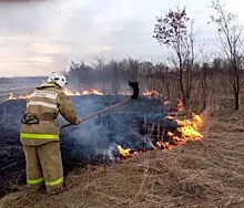 В Самарской области огонь поразил 100 "квадратов" сухой травы