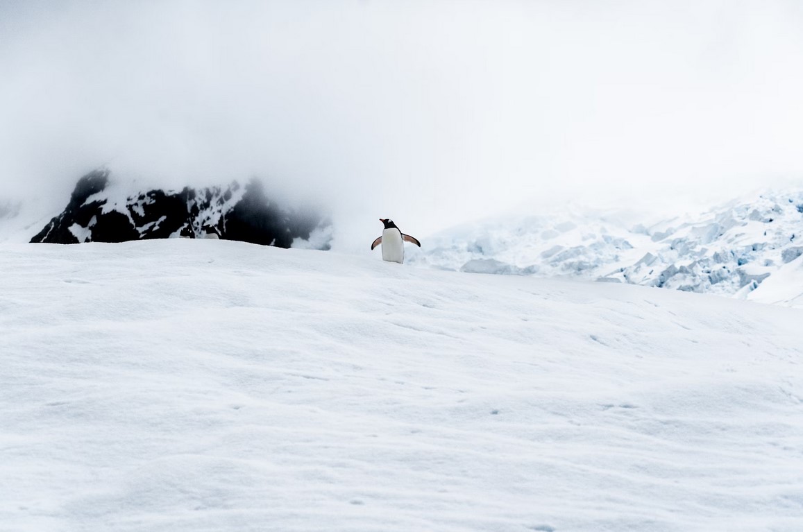 Подземный мир Антарктики: что скрывают льды холодного континента