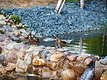 Пожелания москвичей станут основой программы команды мэра столицы на выборах